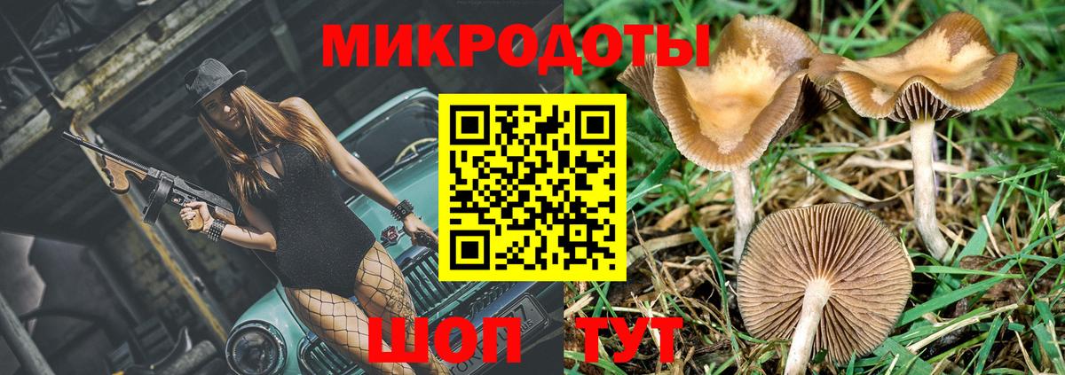 как найти   Псилоцибиновые грибы ЛСД  Вход с VPN  Россошь 
